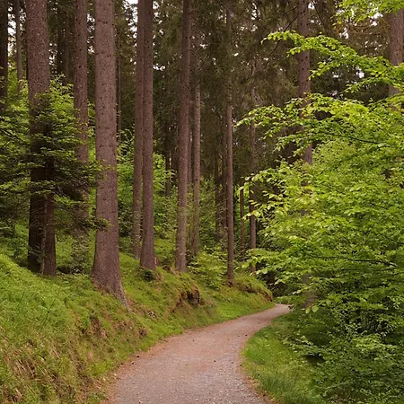 With Pool & Sauna Daire Laax