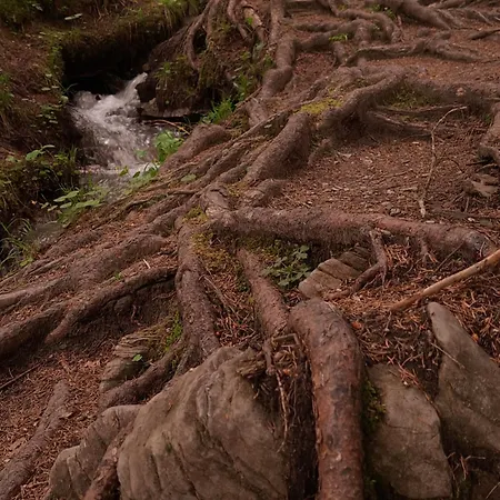 아파트 With Pool & Sauna 락스