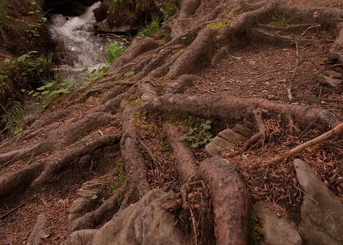 דירה With Pool & Sauna לאקס