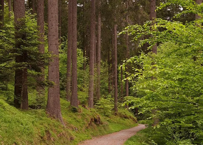 With Pool & Sauna Apartamento Laax